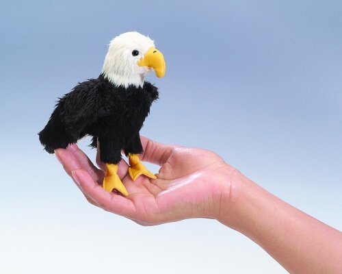 Bald+Eagle.jpeg
