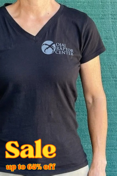 Women’s Cotton Red-tailed Hawk Tee – Long and Short sleeve