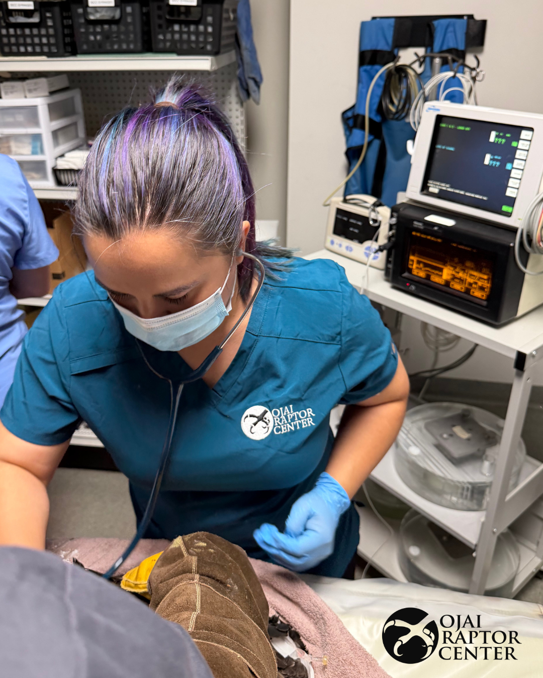 Dr Kat checking on patient between scans. 