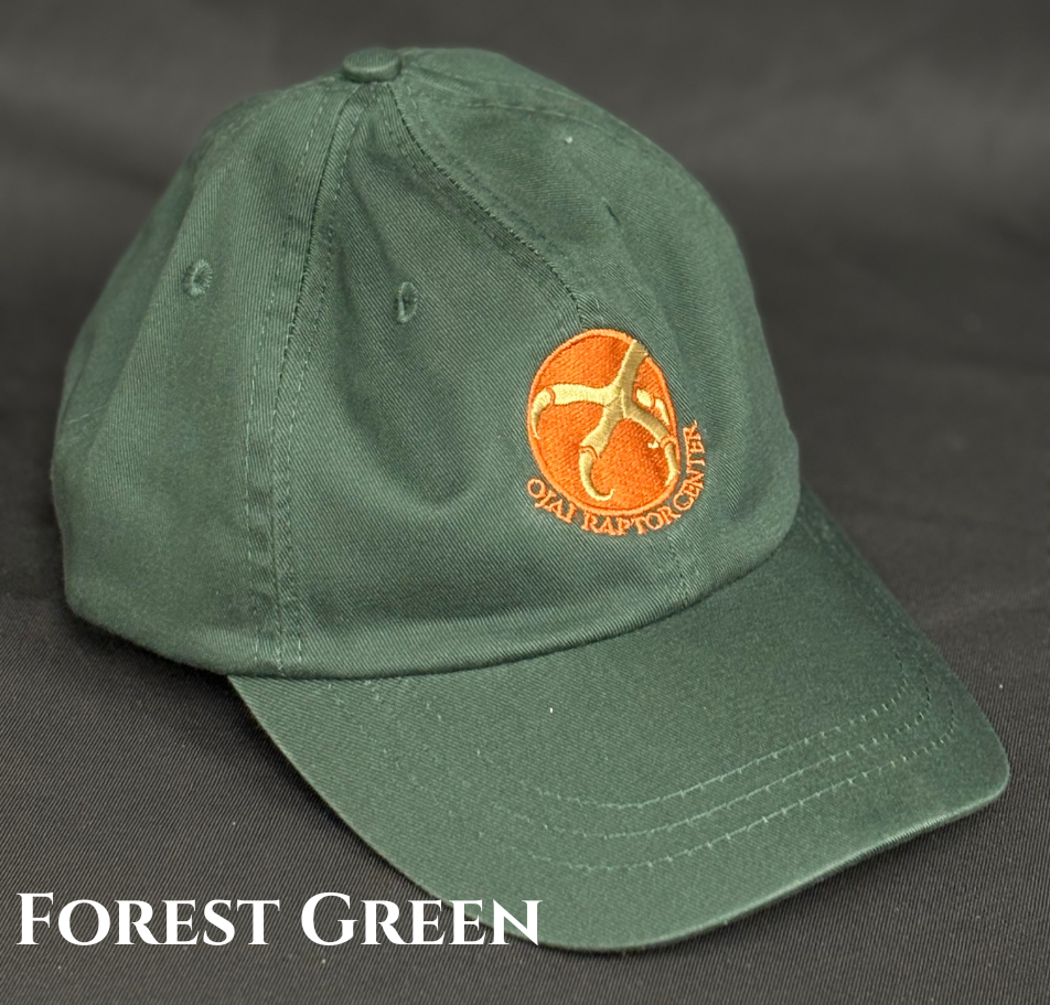 ORC Baseball Hats — Ojai Raptor Center