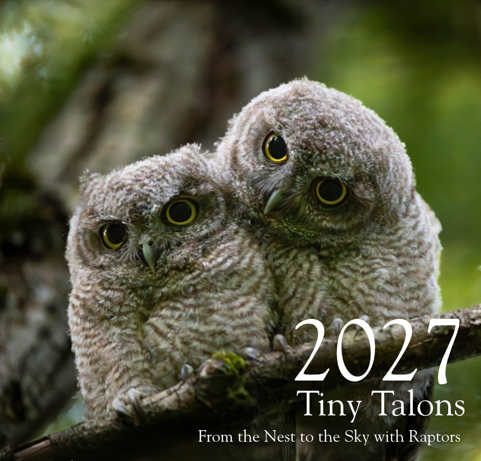 calendar graphic 2.png
