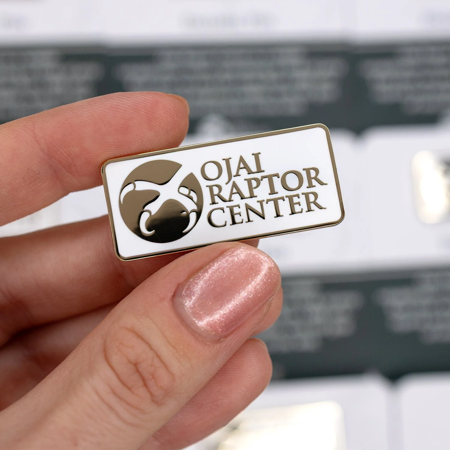 Ojai-Raptor-Center-Enamel-Pin-3.jpg