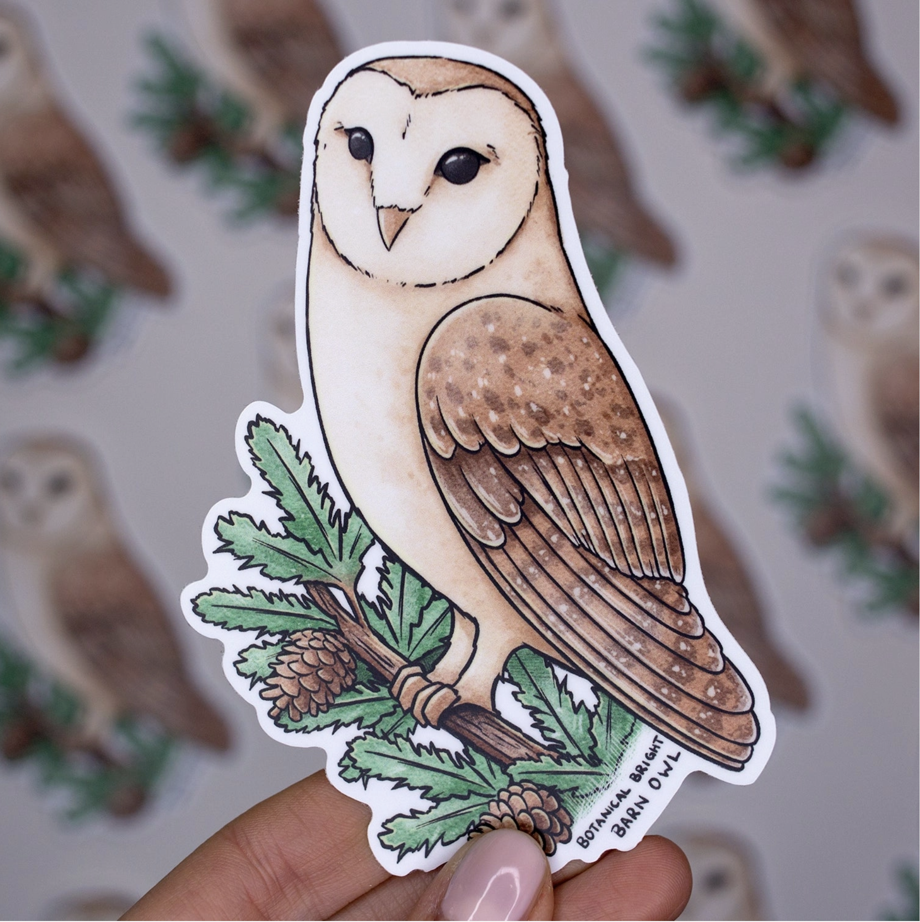 Barn-Owl-Sticker-2.png
