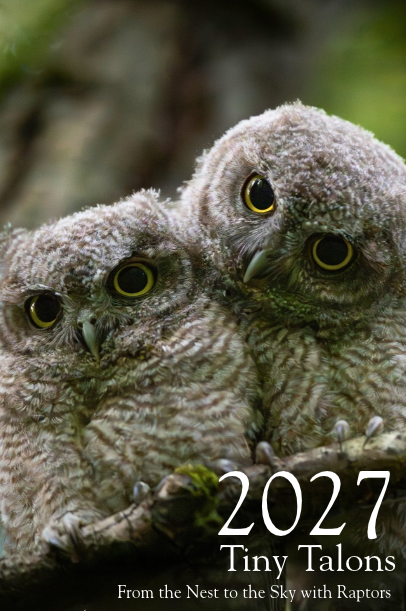 Calendar Graphic.png