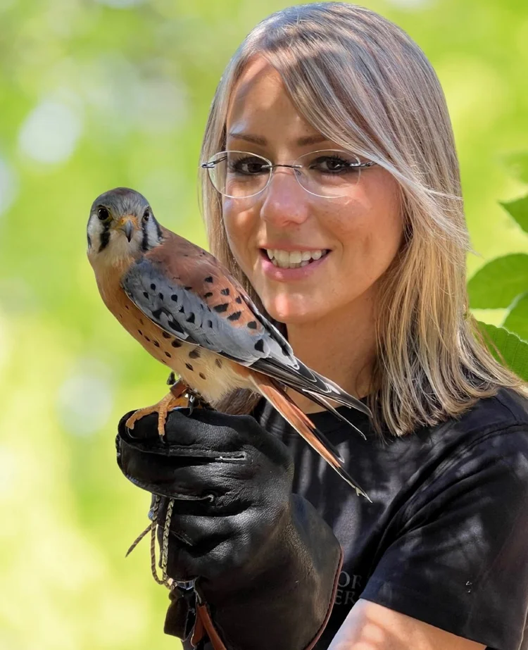 Programs at the Center | Learn About Raptors — Join Our Programs — Ojai ...