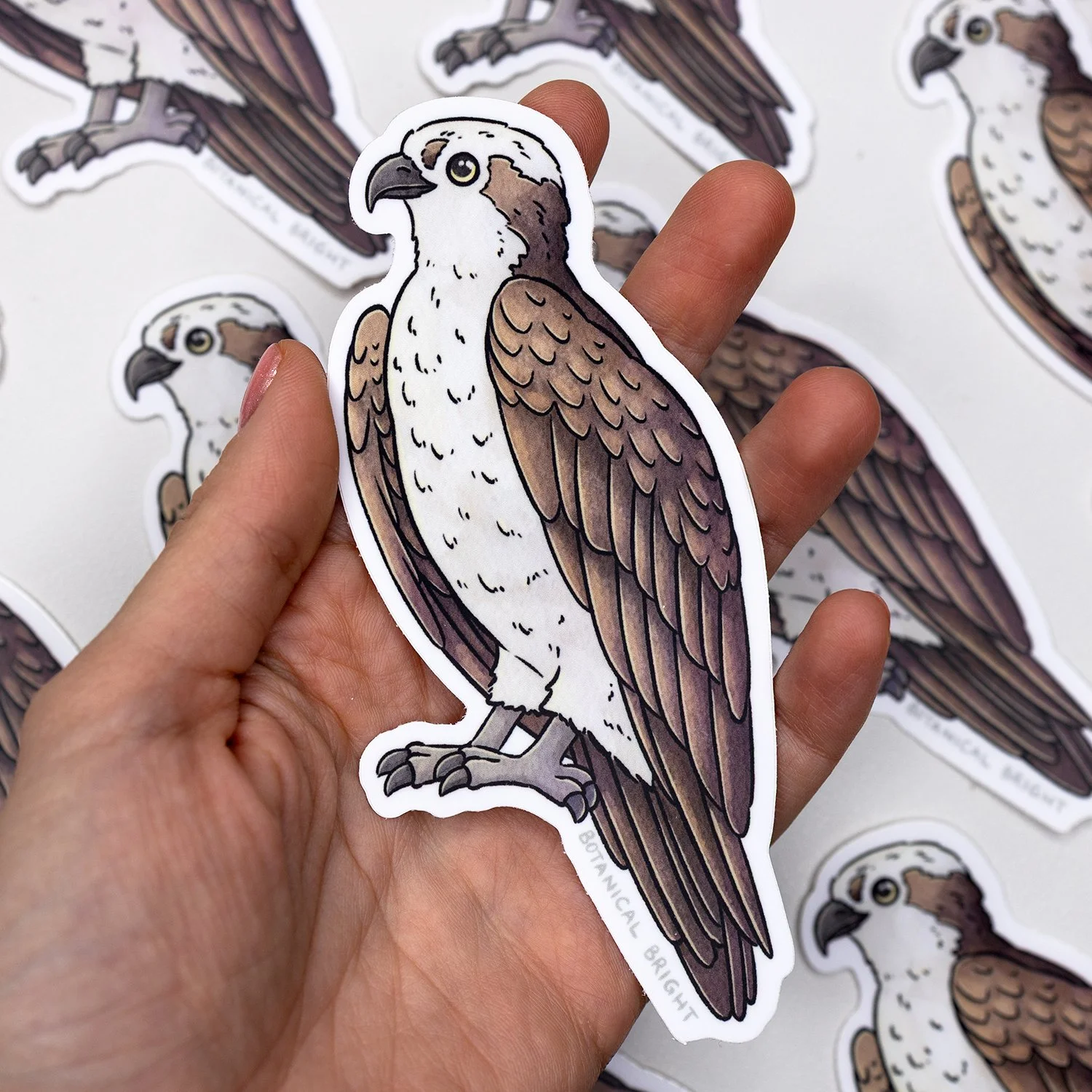 Botanical-Bright-Osprey-Waterpoof-Sticker.jpg