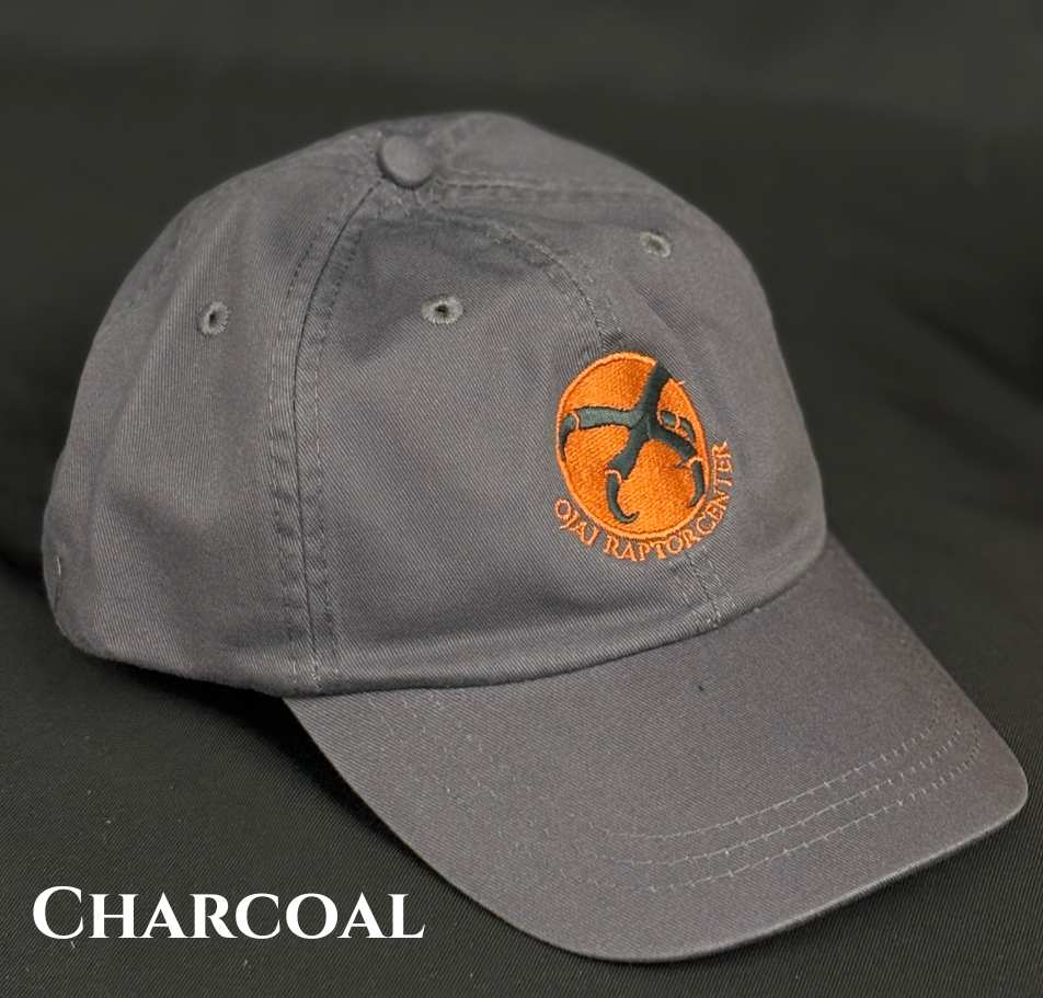 ORC Baseball Hats — Ojai Raptor Center