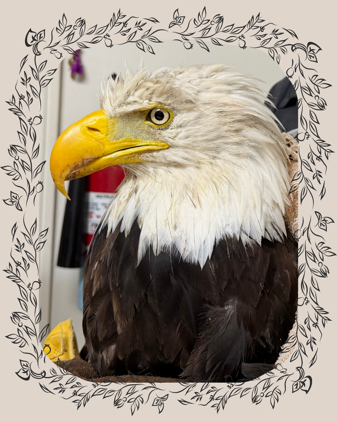 519 Post 810 (1).png