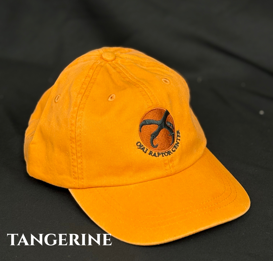 ORC Baseball Hats — Ojai Raptor Center
