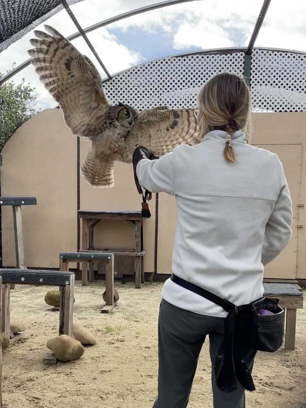 Kim with Juni landing on glove 02-2024.JPEG