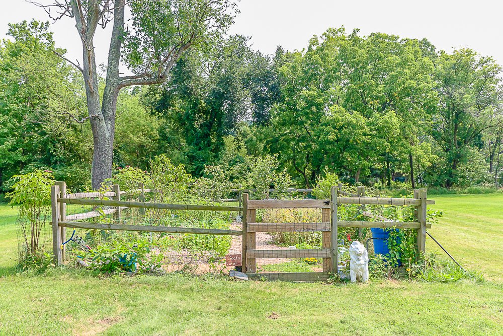 34 Elm garden.jpg