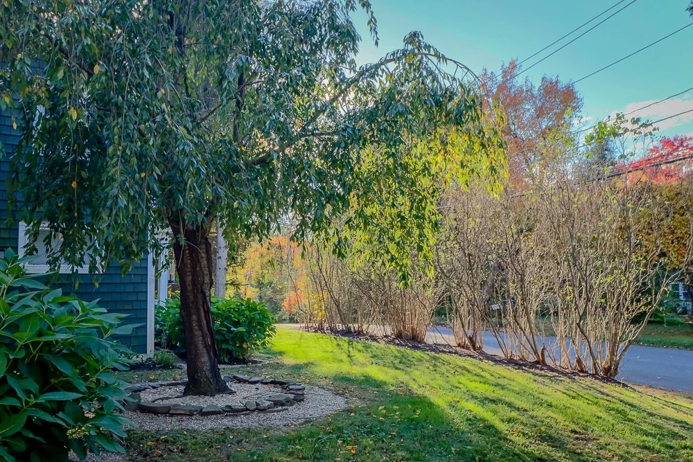 42 White Mills front yard.jpg