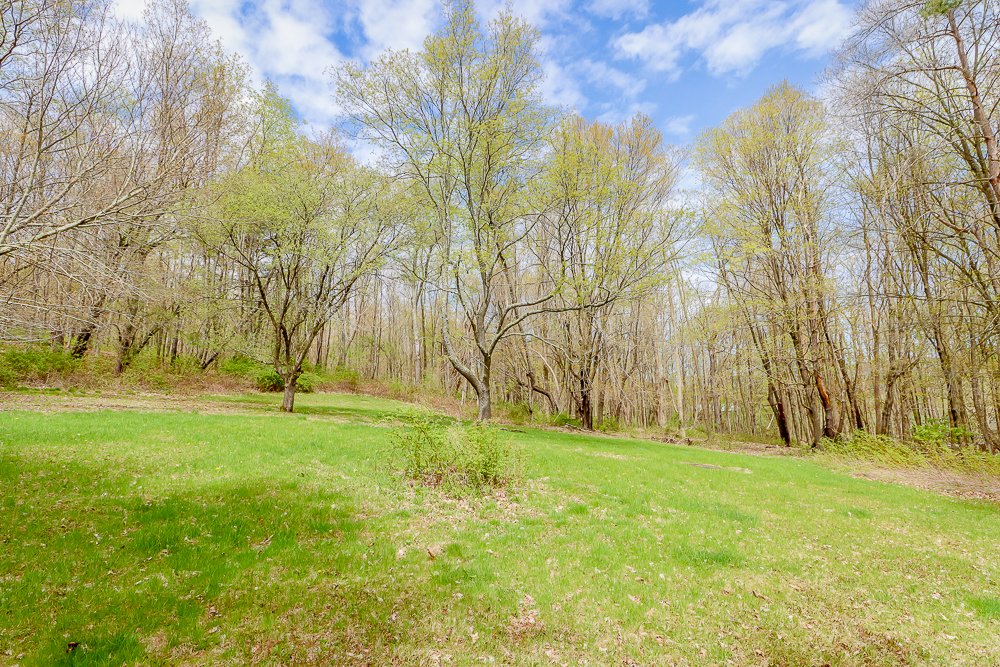 187 West meadow.jpg