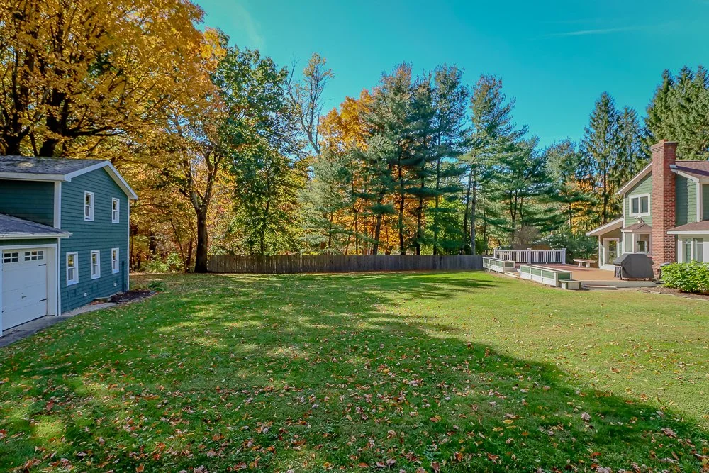 42 White Mills back yard.jpg