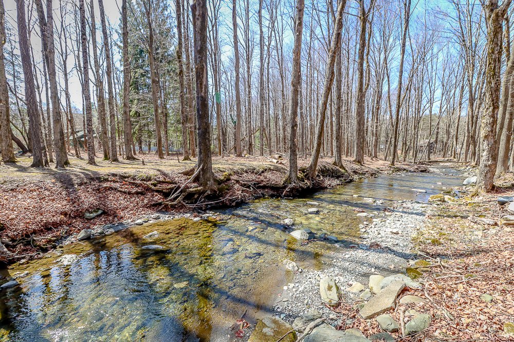 32 Harvey Mtn water view 4.jpg