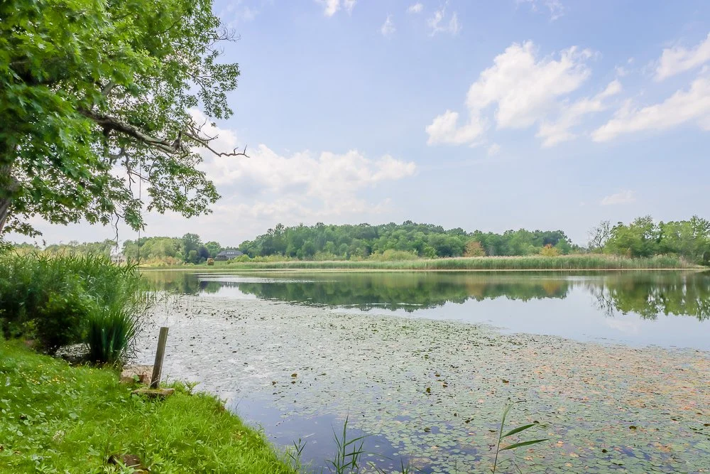 Knickerbocker Lake.3.jpg