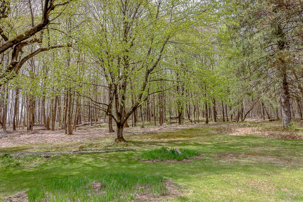 187 West view behind the house.jpg