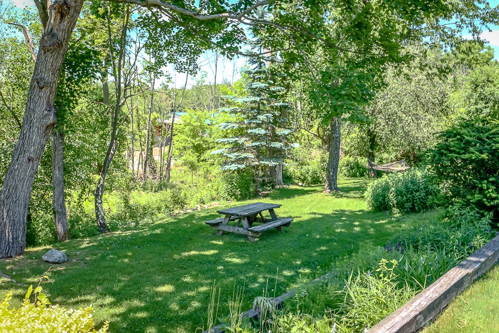 682 Route 203 picnic table and hammock.jpg