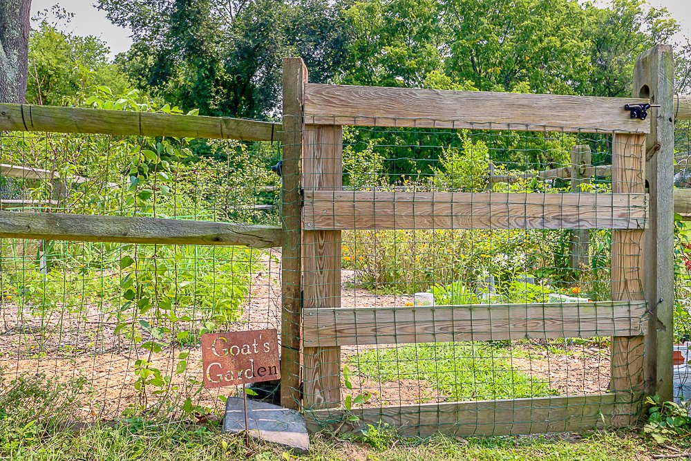 34 Elm garden gate.jpg