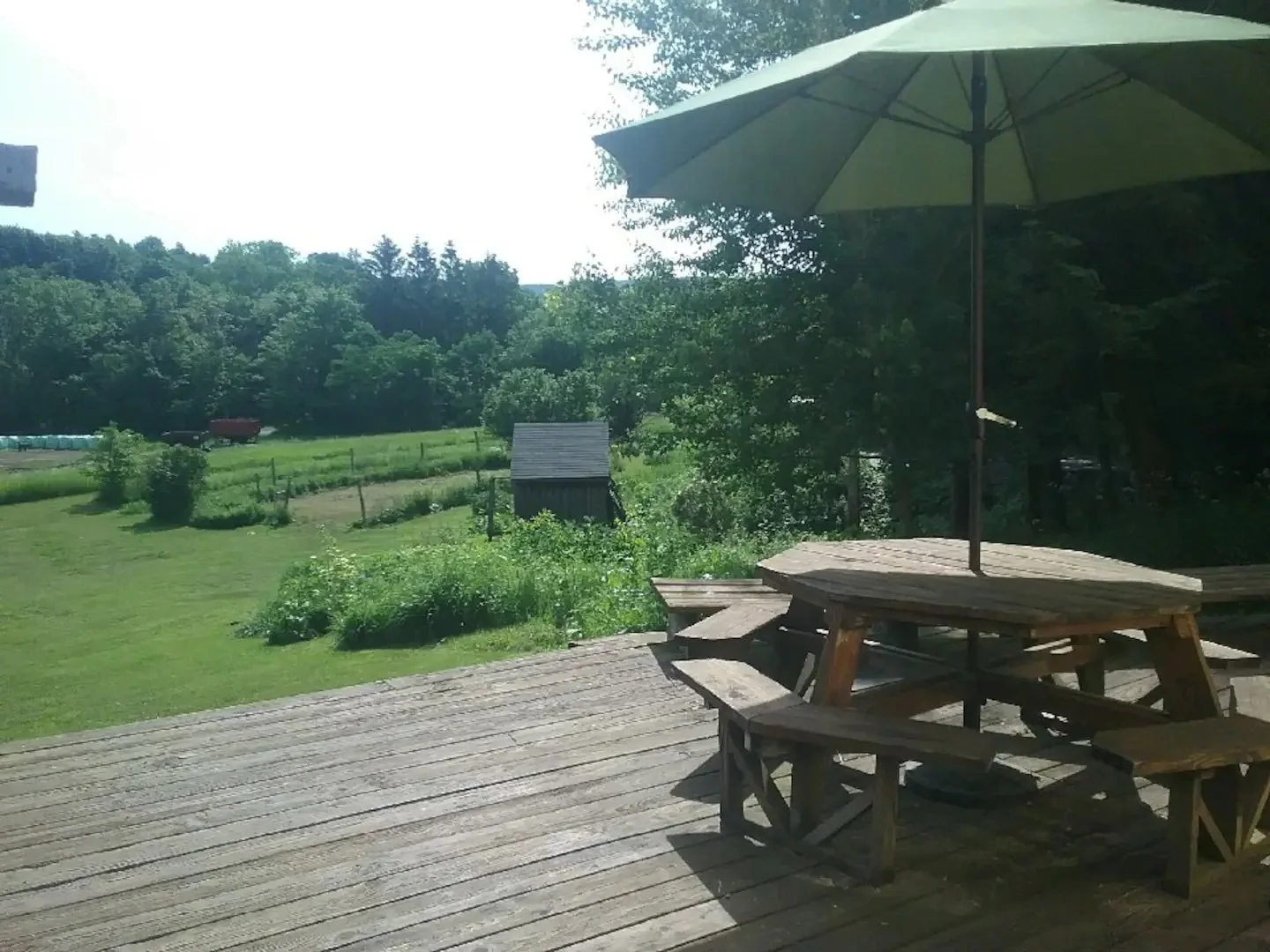 deck looking out on yard.jpg