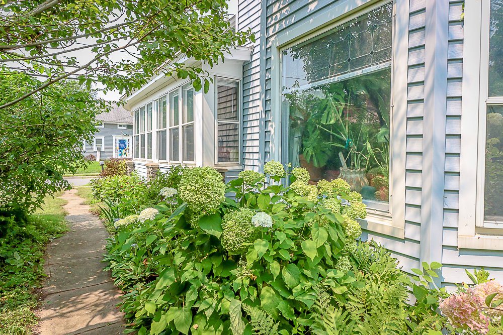 34 elm south garden.jpg