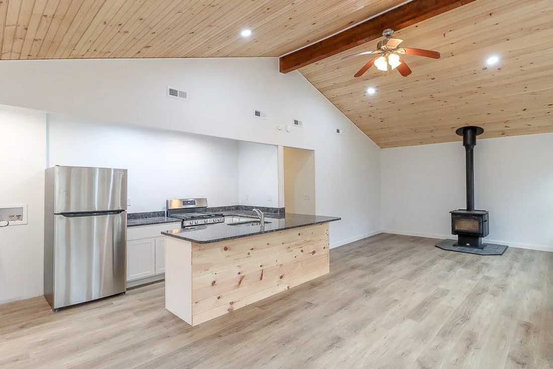 65 kitchen GR.jpg