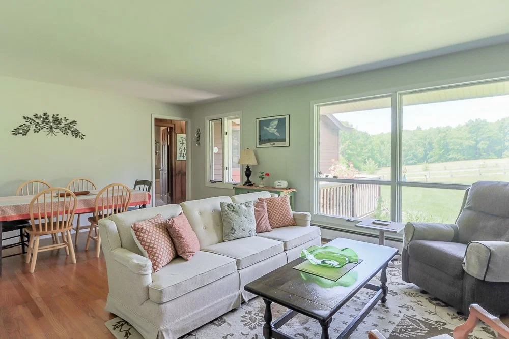 682 Route 203-living room w view.jpg