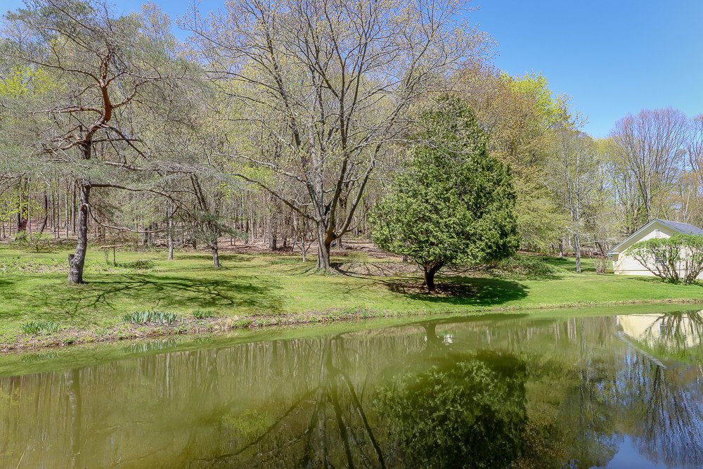 187 West pond view.jpg