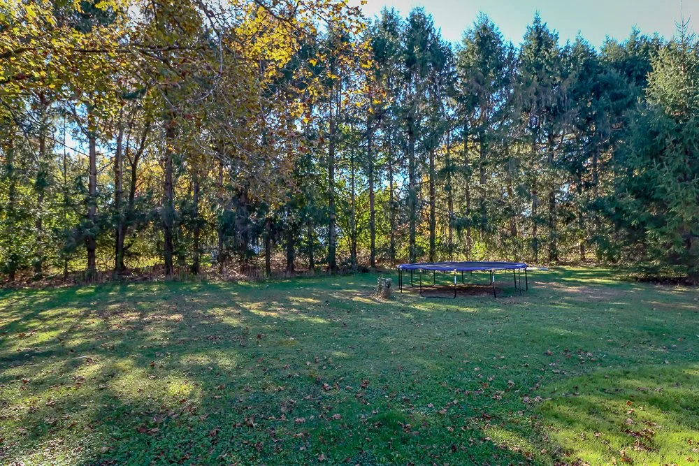46 Hawthorne backyard.2.jpg