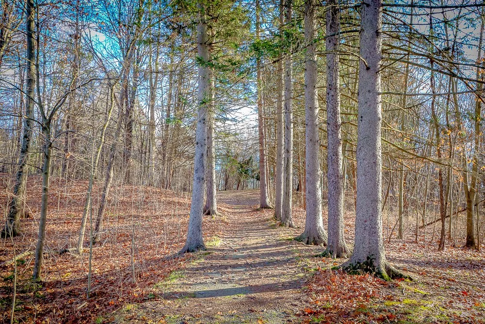 trail.jpg