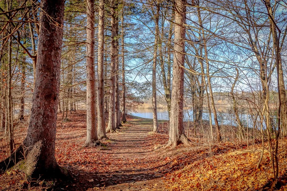 approach to lake.jpg