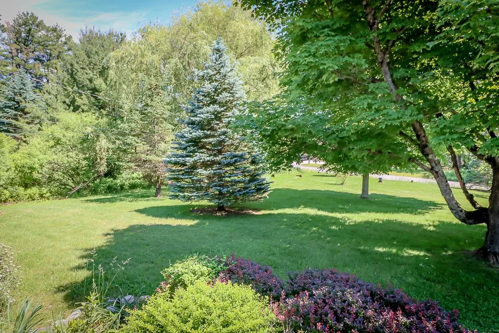 682 Route 203 front yard from front door.jpg