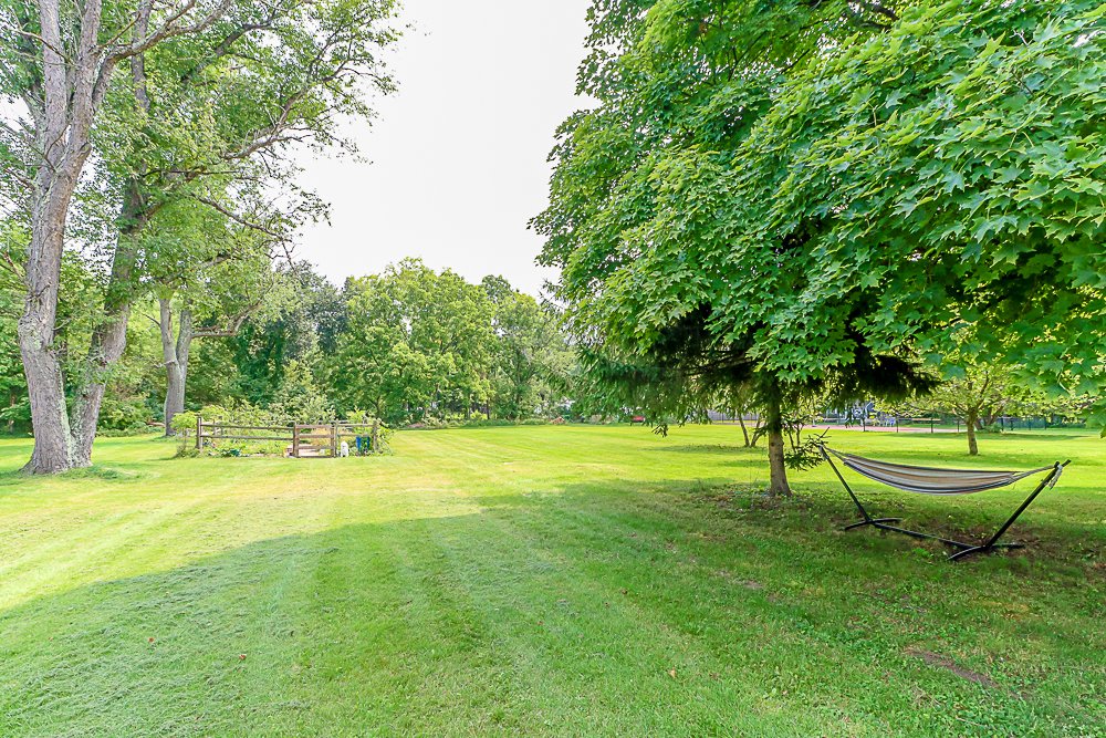 34 Elm back yard.jpg