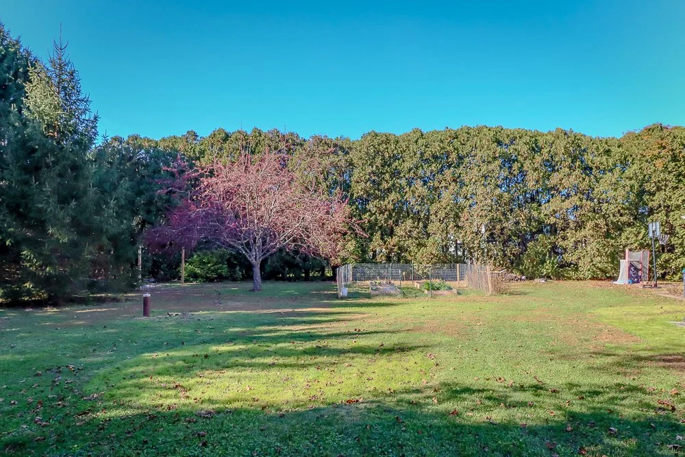 46 Hawthorne backyard.jpg