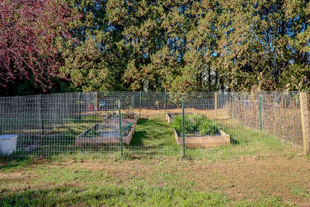 46 Hawthorne garden.jpg