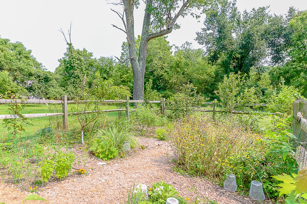 34 Elm garden 2.jpg