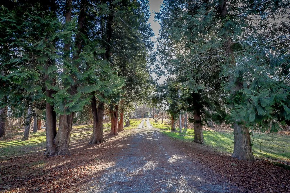 Orinsekwa Rd.jpg