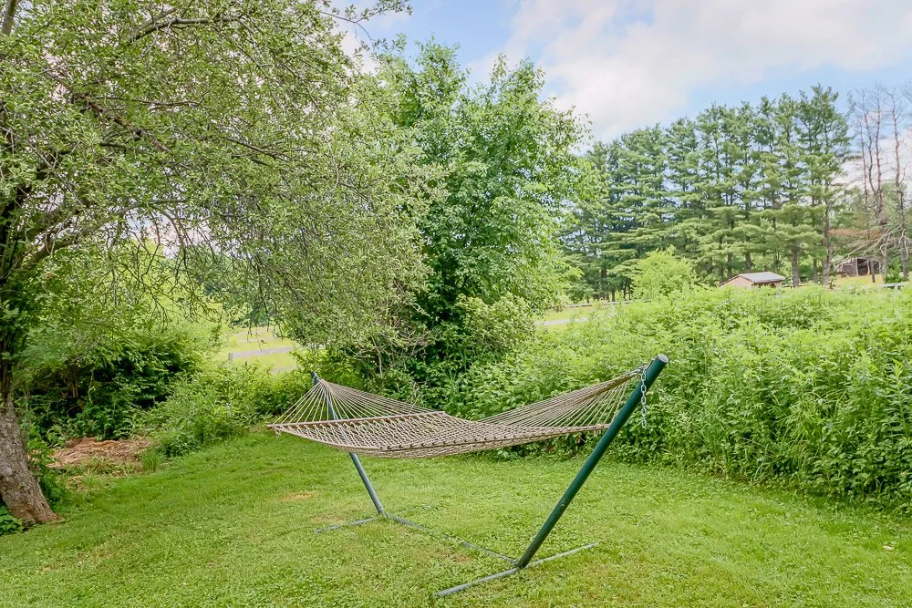 682 Route 203 hammock.jpg