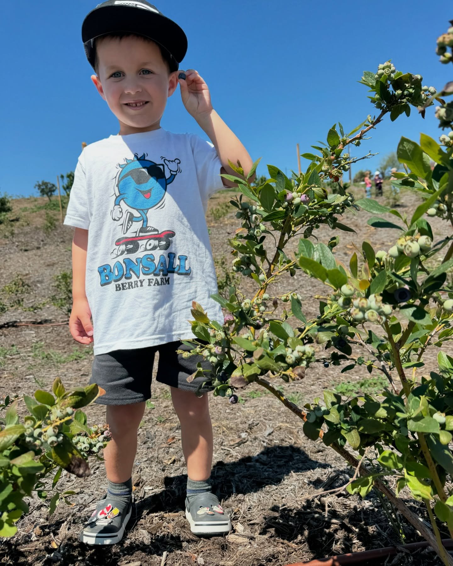 These berry dudes had a blast hunting for early season blues this morning. There were few to be had because the majority are still green. But the ones that were picked were deeeeelish!🫐 We are about 2-3 weeks out from harvesting!

#upick #bonsallber