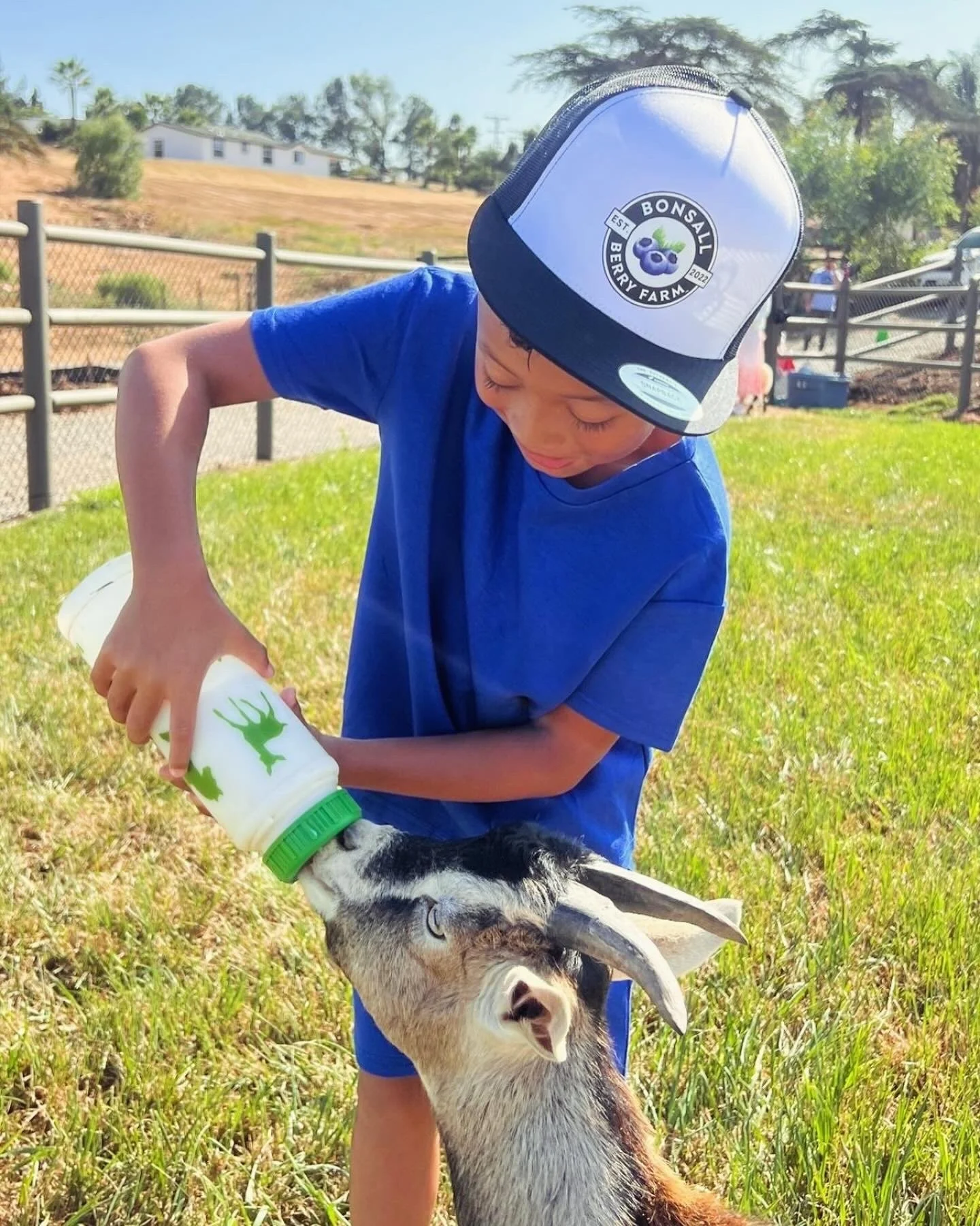 Our Bonsall Berry Farm Petting Zoo is almost ready, and we can&rsquo;t wait to welcome you! 🐐🐑🐰

We&rsquo;re putting the finishing touches on our coming soon weekend hours, and trust us&hellip; it&rsquo;s going to be worth the wait. Thank you so m