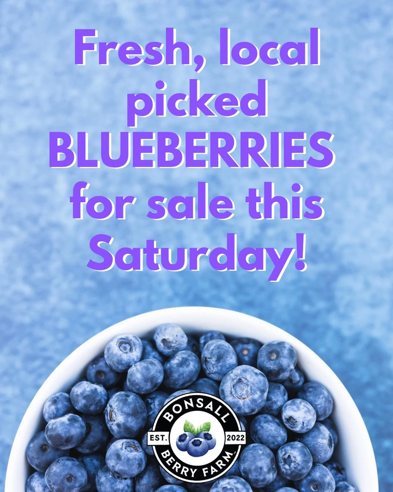 🫐 Fresh Picked Local Blueberries This Saturday🫐

Our blueberries are fresh, sweet, and ready for you at the farm stand! Grown with regenerative practices, we focus on healthy soil, healthy plants, and healthy families.

🌱 Never harmful pesticides
