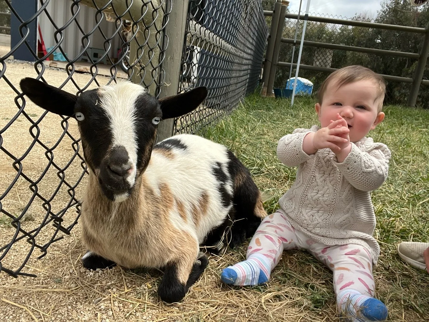 Another amazing day at the farm! Thank you to all who came out. Please send pics or tag us if you&rsquo;d like us to share.  Stay tuned for tickets dropping for next week and some exciting news for summer events!