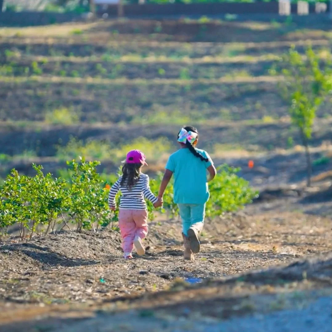 Something powerful happens when kids step outside and put the screens down. Their senses wake up and curiosity takes over.

In the beauty of Creation, they notice what screens can&rsquo;t offer, the feel of soil, the movement of a ladybug, the sound 