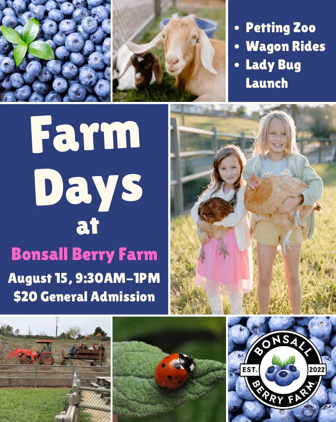 Looking for a memorable family outing in North County San Diego?

Join us at Bonsall Berry Farm on Saturday, August 15, from 9:30 AM&ndash;1:00 PM for a morning of fresh air, farm animals, and hands-on experiences you won&rsquo;t find anywhere else.
