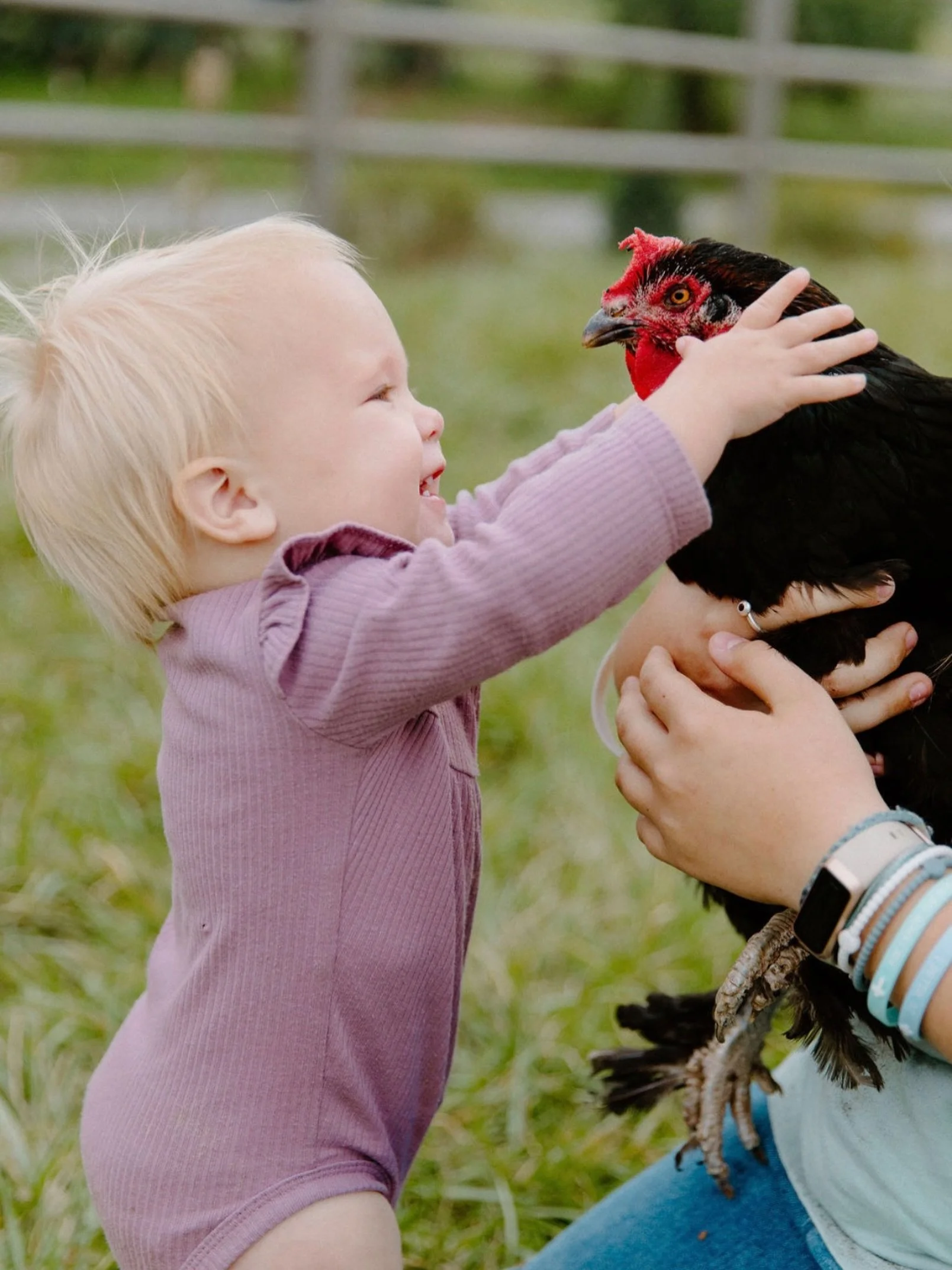 babies + chickens = all the ❤️