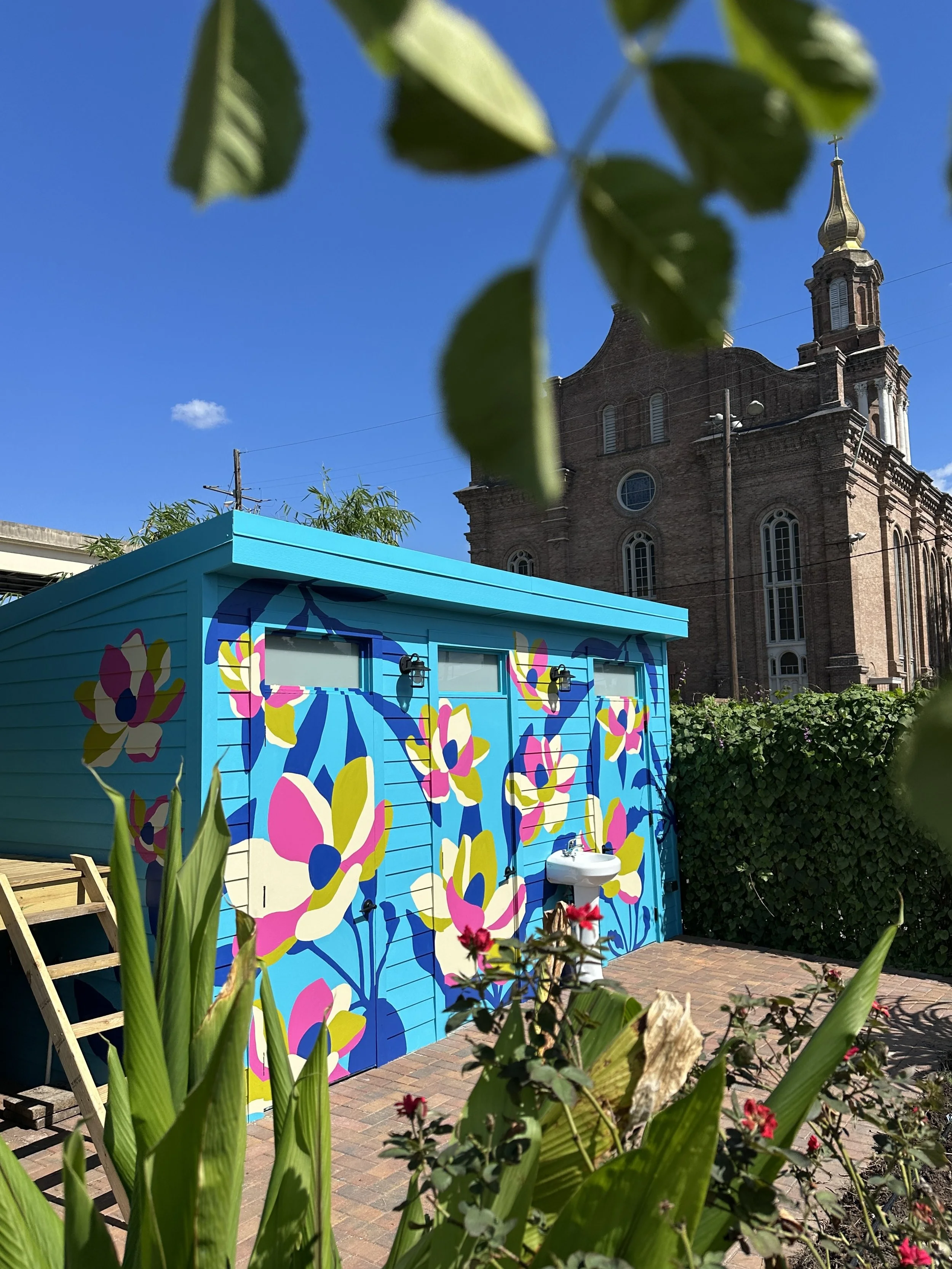 Magnolias Paradigm >>