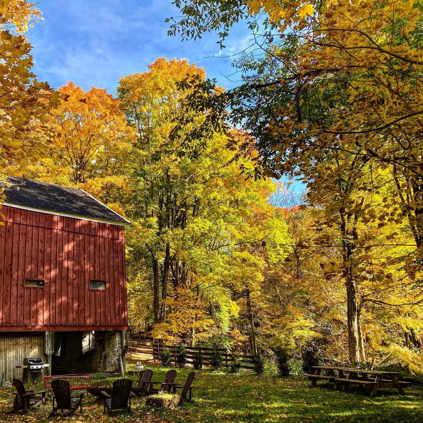 #autumninnewyork #hudsonvalley #silverbrookmanor