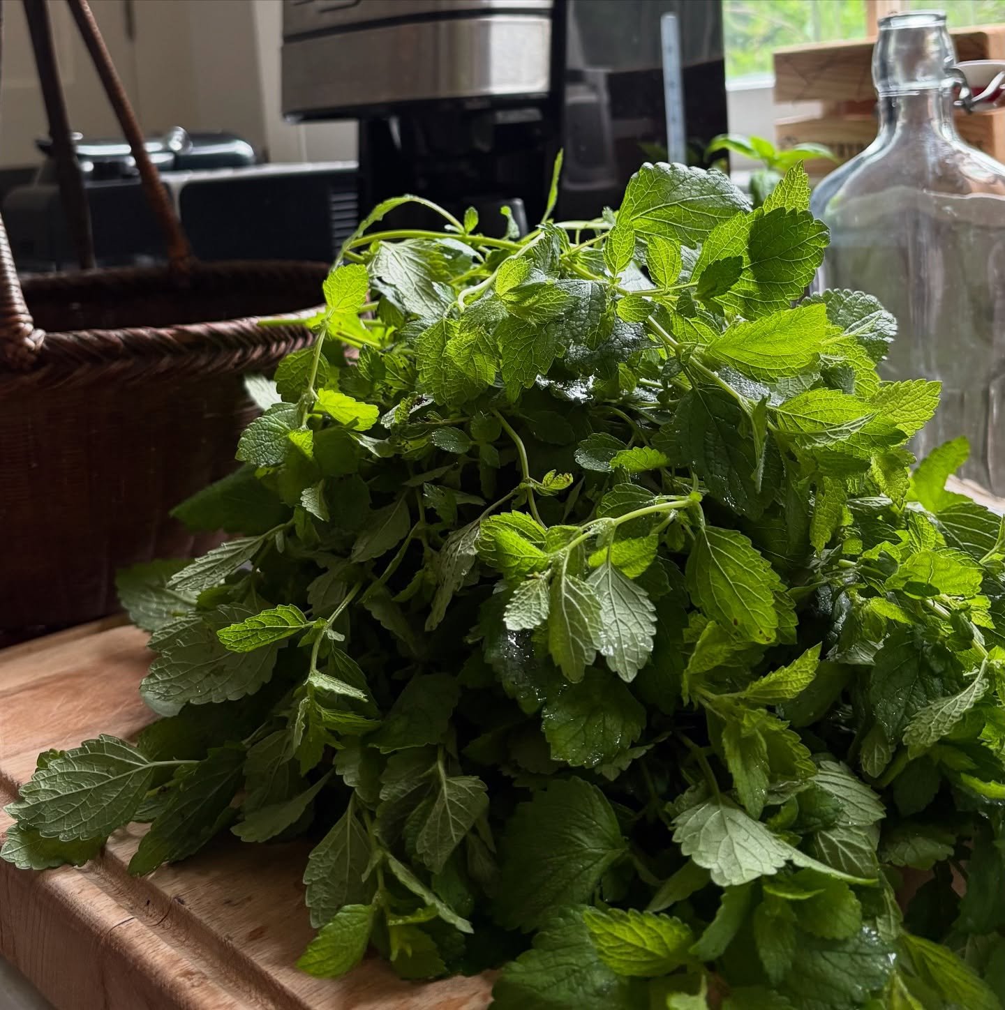Lemon balm (Melissa officinalis) offers a variety of potential health benefits, including reducing stress and anxiety, improving sleep, and potentially aiding in digestion and cold sore treatment. It&rsquo;s also been used traditionally for its calmi