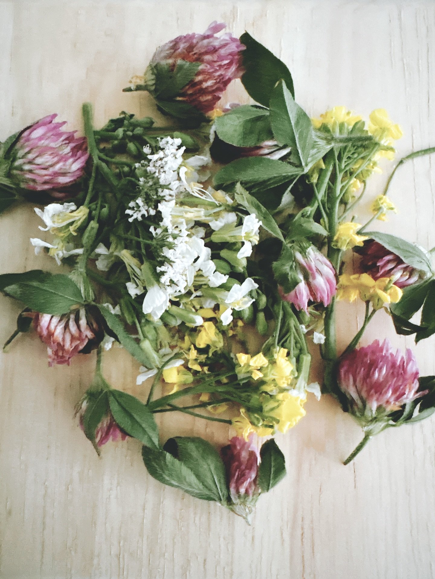 Cooking with flowers 🌸 Each petal brings nutrients, life force, and vibrant flavor to your plate. From foraged blooms to farm-grown blossoms, these edible wonders are nature&rsquo;s most poetic ingredients.

Join the Silverbrook #FarmClub for exclus
