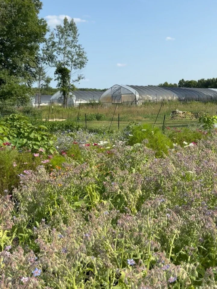 Spent a beautiful afternoon wandering the fields with the wonderful owners of @togather_us 🌿

As part of the collective, we also had the chance to learn more about the inspiring work happening at @hiddenacrefarm and @firsthandfarm 🙏 We talked about